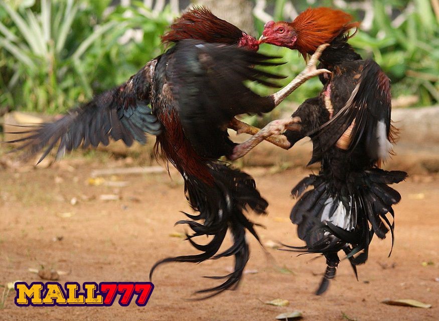 Lợi ích khi tham gia kiếm tiền thật tại nhà cái uy tín online hàng đầu Việt Nam