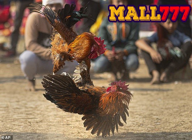  Nhanh tay đăng ký chương trình khuyến mãi gemwin điểm danh 8 ngày rinh quà hot!  