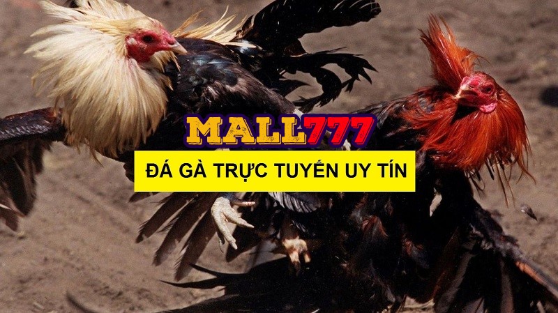  Sự kiện khuyến mãi gemwin đặt cược hoàn trả không giới hạn cho cược thủ  