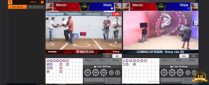 Đá gà cựa dao Online tại Gemwin